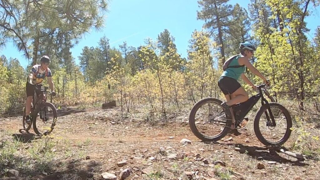 Mountain biking on the White Mountains trail system